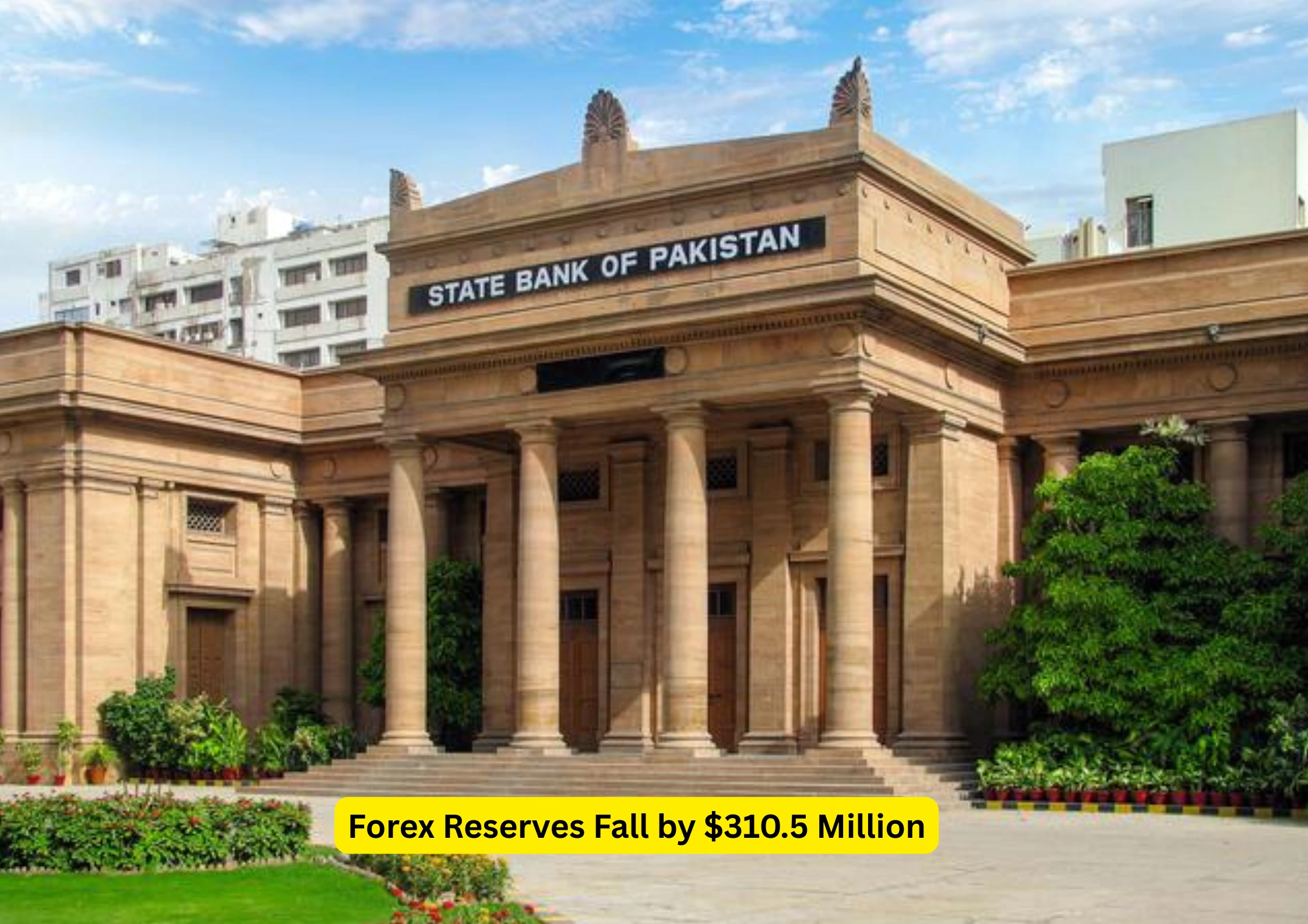 Forex Reserves Fall by $310.5 Million