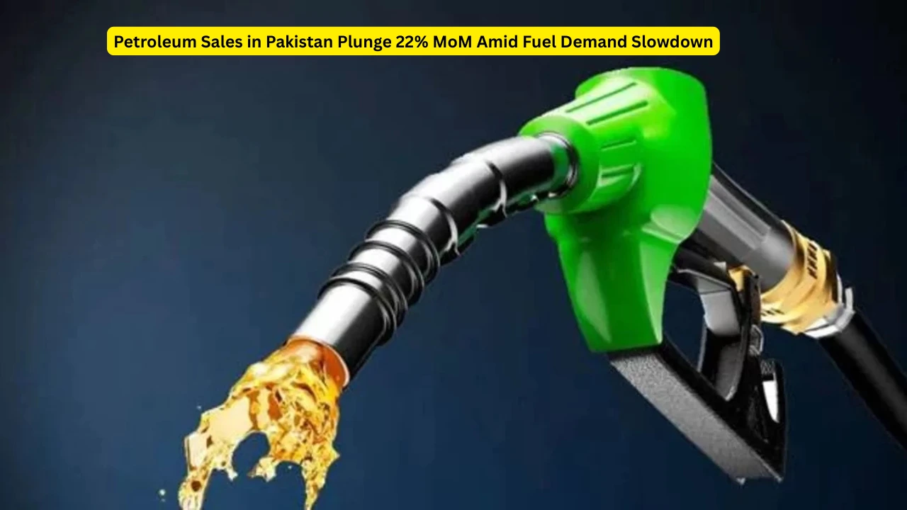 Petroleum Sales in Pakistan