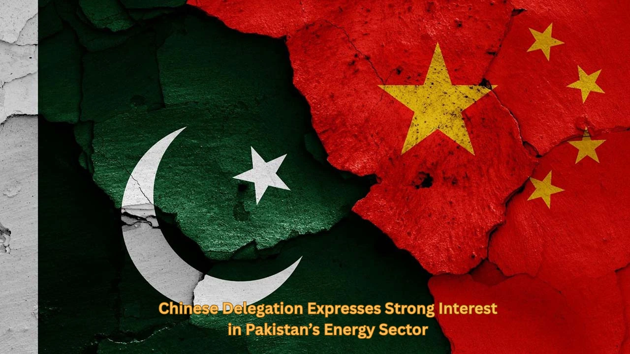 Chinese Delegation Expresses Strong Interest