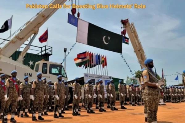 Pakistan Calls for Boosting Blue Helmets' Role