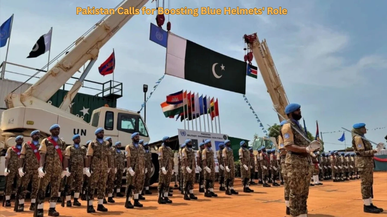 Pakistan Calls for Boosting Blue Helmets' Role