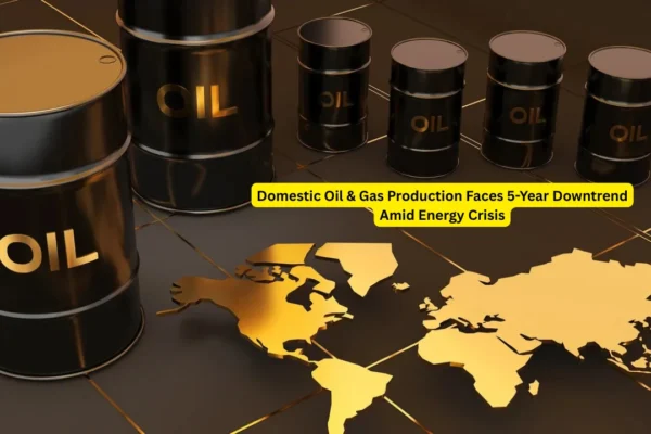 Domestic Oil and Gas